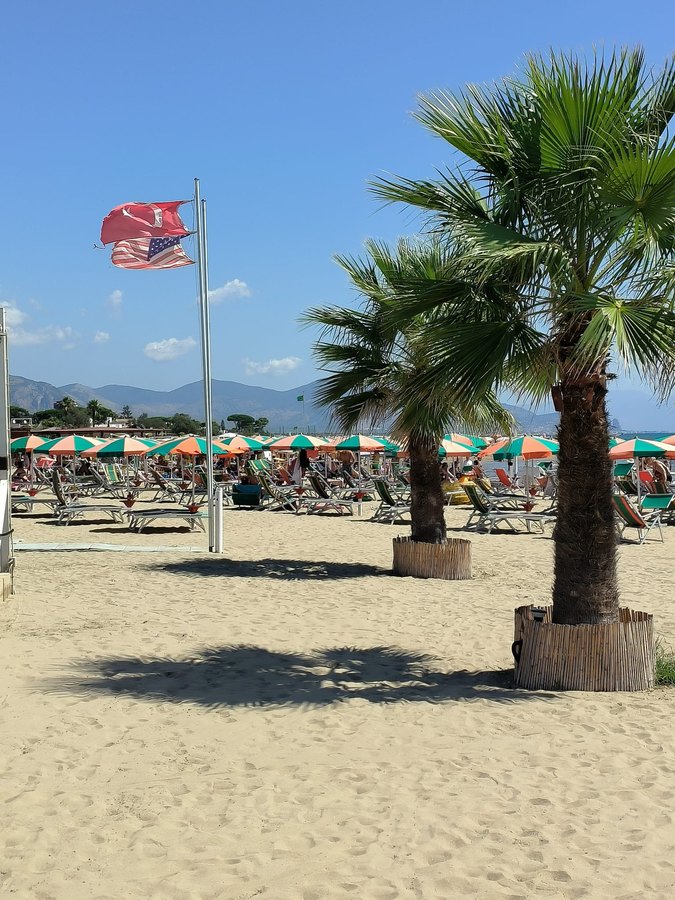 La spiaggia del Delfino tra palme e bandiere